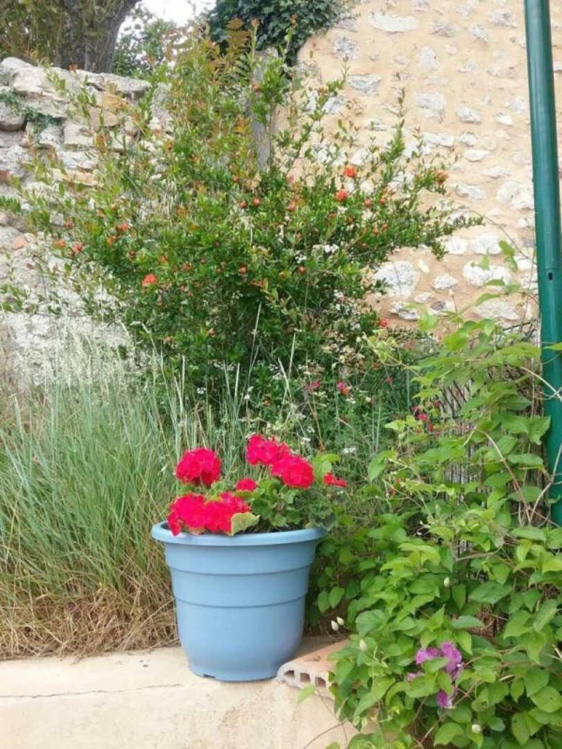 Cecile Montgaillard (Aude) Exterior foto