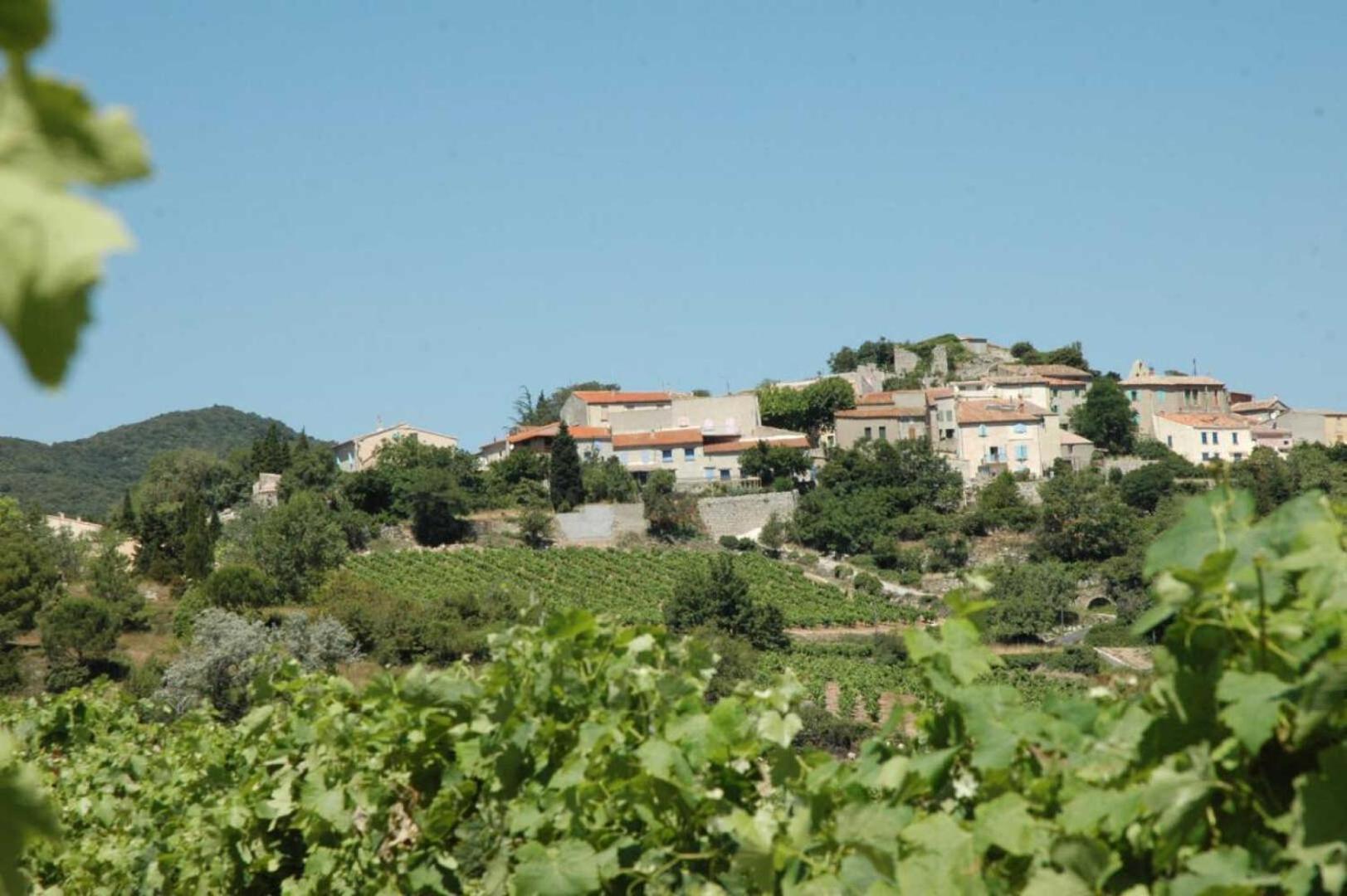 Cecile Montgaillard (Aude) Exterior foto